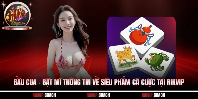 Bầu Cua - Bật Mí Thông Tin Về Siêu Phẩm Cá Cược Tại Rikvip