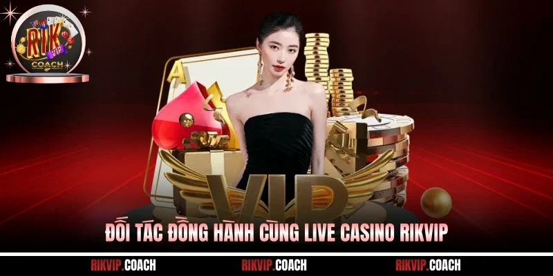 Đối tác đồng hành cùng live casino Rikvip