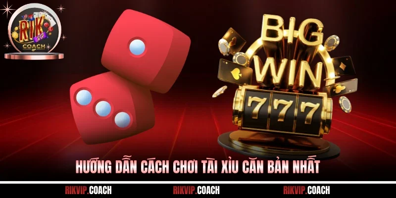 Hướng dẫn cách chơi tài xỉu căn bản nhất
