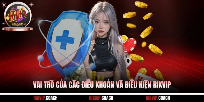 Vai trò của các điều khoản và điều kiện Rikvip